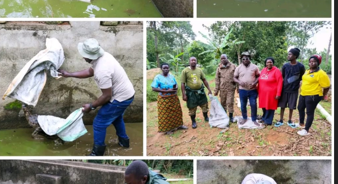 UWA Rescues Serval in Wakiso