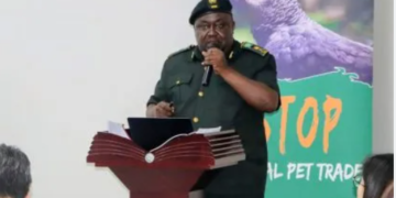 Dr Musinguzi’s Conservation Revolution Powers Uganda’s Tourism Comeback